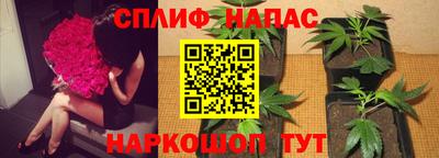 PSILOCYBIN Бузулук